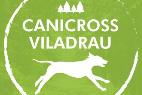 Canicross de Viladrau