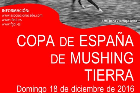 Copa España de Mushing Tierra 2016 – A Estrada (Pontevedra)
